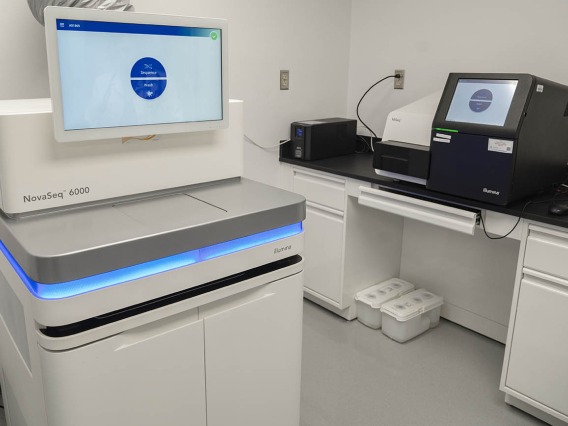 A new state-of-the-art genome sequencing machine will allow the PANDA Core for Genomics and Microbiome Research to expand high-throughput sequencing capacity not only for researchers at the University of Arizona Health Sciences, but also for scientists throughout the state.