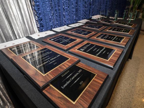 Table covered in award plaques. 