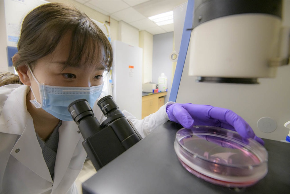 A Health Sciences strategic initiative is allowing postdoctoral researchers like Yeucheng Xi, PhD, to pursue work to create defenses against disease.