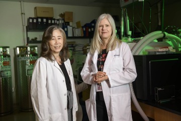 UArizona Health Sciences researchers Sherry Chow, PhD, and Julie Bauman, MD, say their findings are encouraging for people struggling or unable to quit smoking.