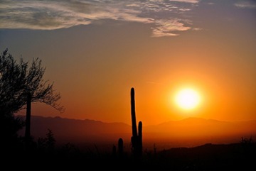 Arizona desert sun