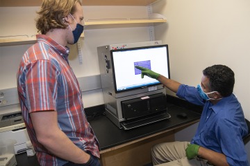 Graduate student Tyler Ripperger and Dr. Bhattacharya examine viral assays. 