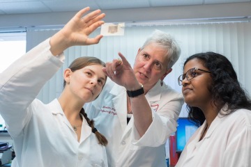 Meredith Hay, PhD (center), a professor of physiology, is also a member of the BIO5 Institute and the Evelyn F. McKnight Brain Institute. (Chris Richards)