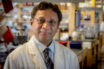 Nafees Ahmad, PhD, is a professor in the UArizona College of Medicine – Tucson’s Department of Immunobiology. 